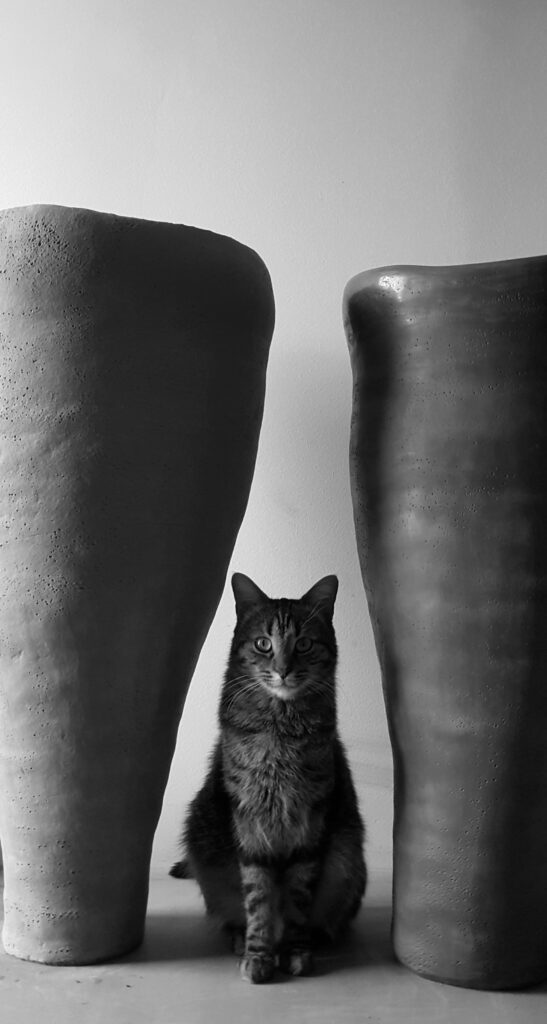 Photographie noire et blanc - Chat - Grandes pots en grès